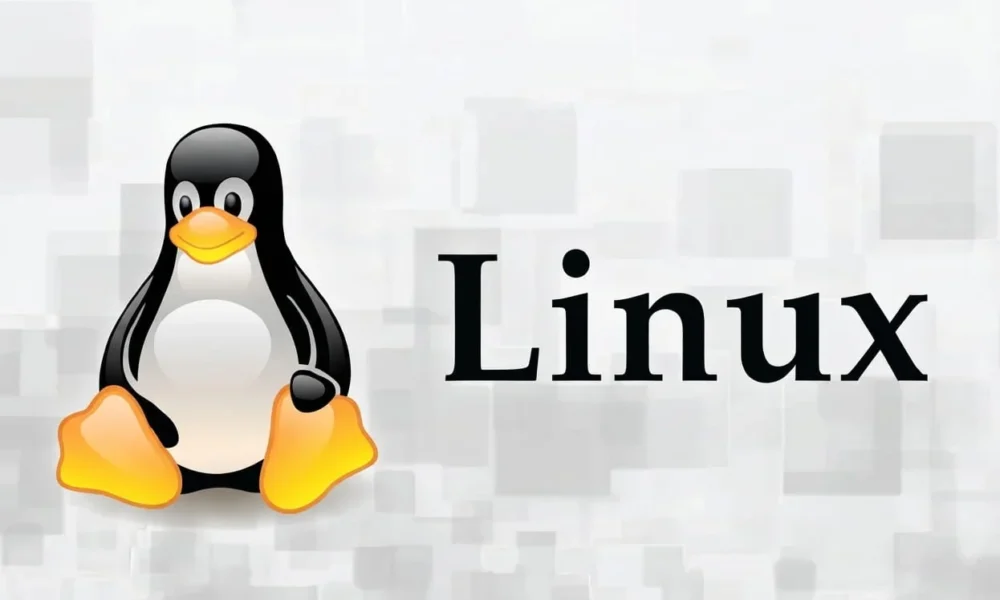 Explorando el Mundo de Linux: SUSE, Red Hat y Oracle