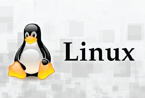 En este momento estás viendo Explorando el Mundo de Linux: SUSE, Red Hat y Oracle