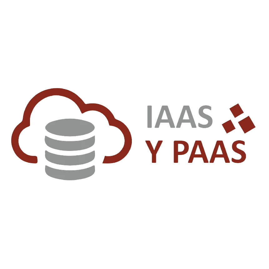 IAAS Y PAAS