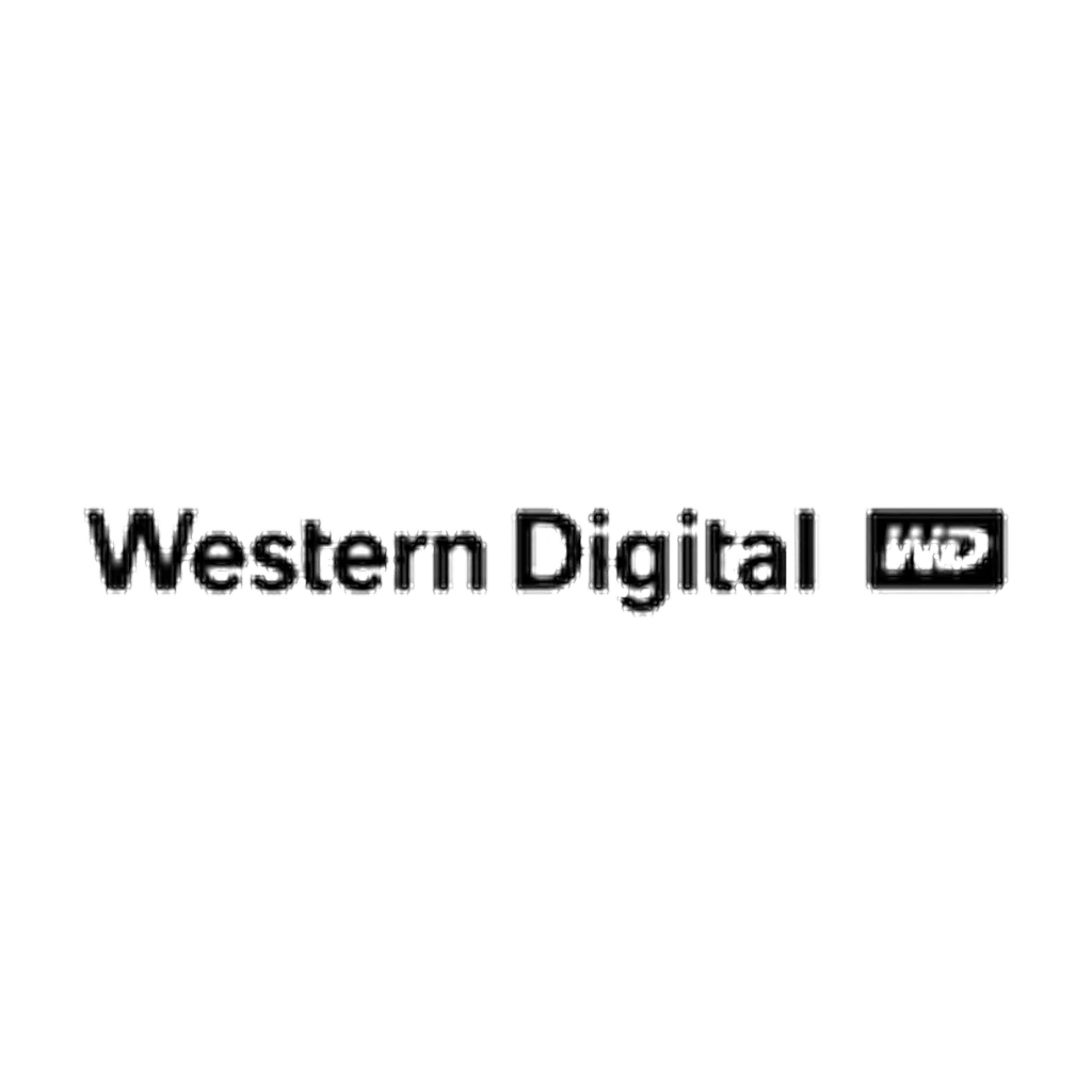 Western_Digital_1024_transparente (1)